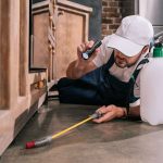 Useful Tips on Hiring the Right Pest Control in Melbourne